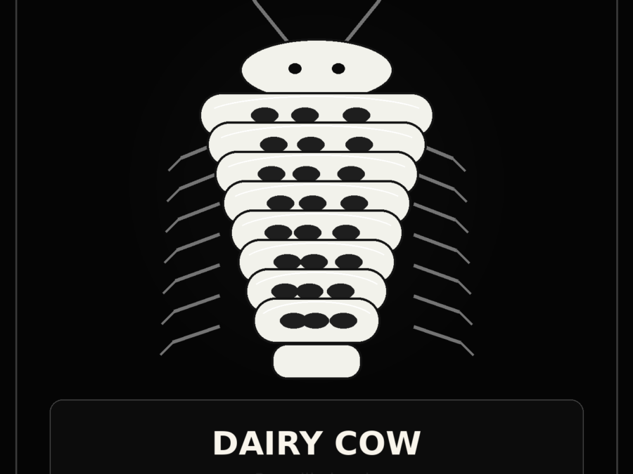Dairy Cow illustrated placeholder isopod graphic