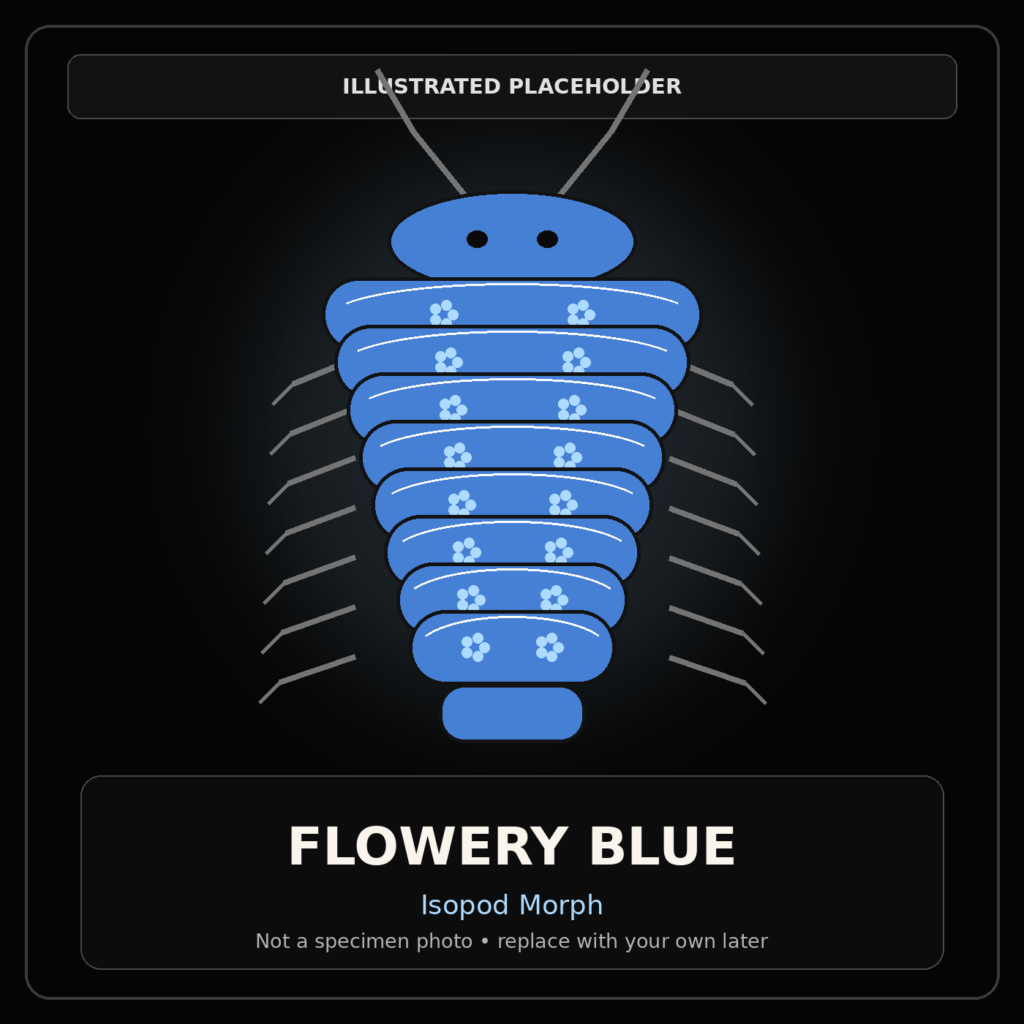 Flowery Blue illustrated placeholder isopod graphic