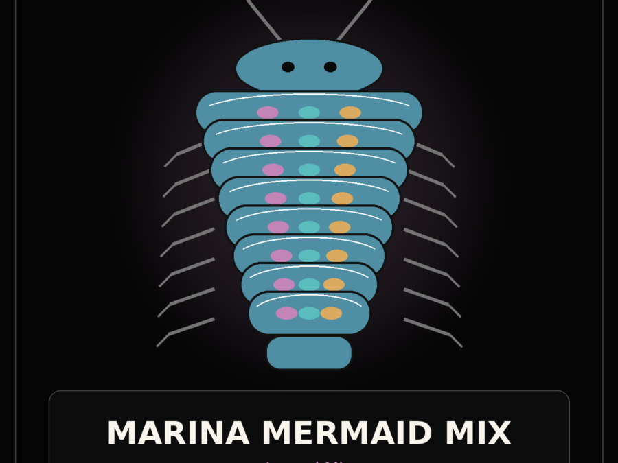 Marina Mermaid Mix illustrated placeholder isopod graphic