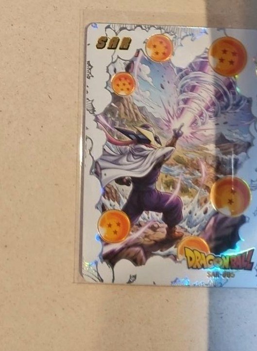 Pokémon × Dragon Ball Crossover Art photographed in the Laurarium Card Garden collection